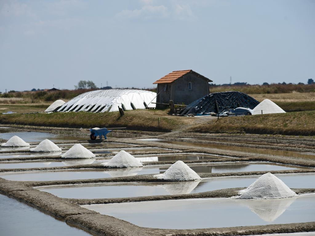 Huttopia Noirmoutier Dış mekan fotoğraf